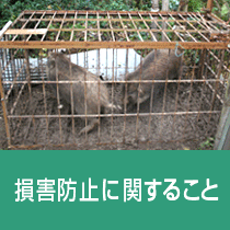 損害防止に関すること