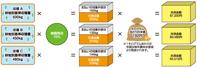 一筆方式 共済金額