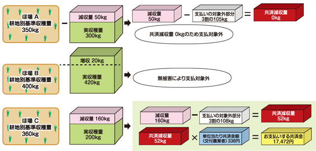 一筆方式 共済金