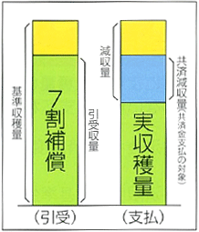 畑作物共済