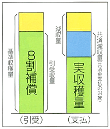 畑作物共済