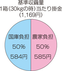 蚕繭