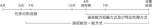 果樹共済
