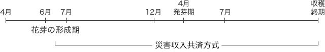果樹共済