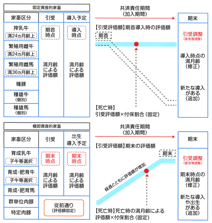 家畜共済 死亡廃用共済