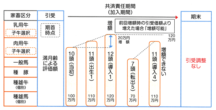家畜共済 疾病障害共済
